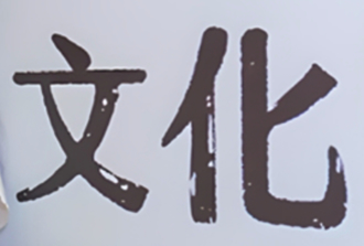 吃了誠實豆沙包？綠委立法院會突喊「文化殺手民進黨」
