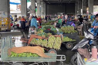 今年全台首例本土漢他病毒現蹤！5旬女市場工作者確診