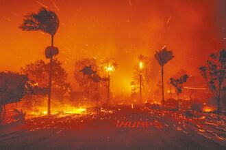 野火 政治 口水戰