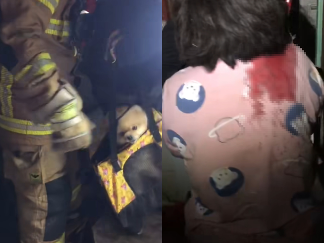 台南市楠西區有民宅倒塌，男子頭上留著鮮血背著小狗走出，女子衣服上染著大片血跡，手上抱著1個月大的嬰兒，3人最後一起上救護車。（蕭宥彤翻攝）