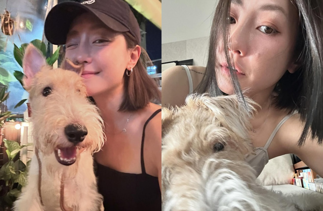 谢欣颖不时晒出爱犬Cooper，但都不见王柏杰入镜。（图／翻摄自谢欣颖 Instagram）