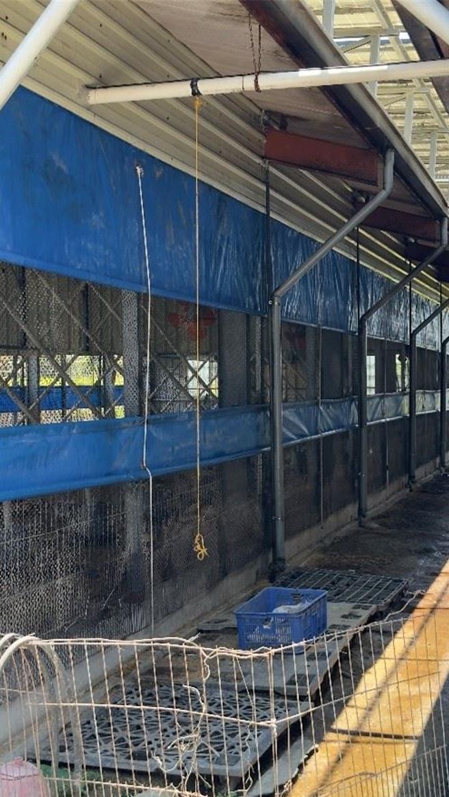 苗栗縣政府對縣內214家業者加強生物安全、定期消毒等措施，並要求業者安裝防鳥網、強化消毒及監控並派遣消毒車進行消毒。（苗栗縣政府提供／呂麗甄苗栗傳真）