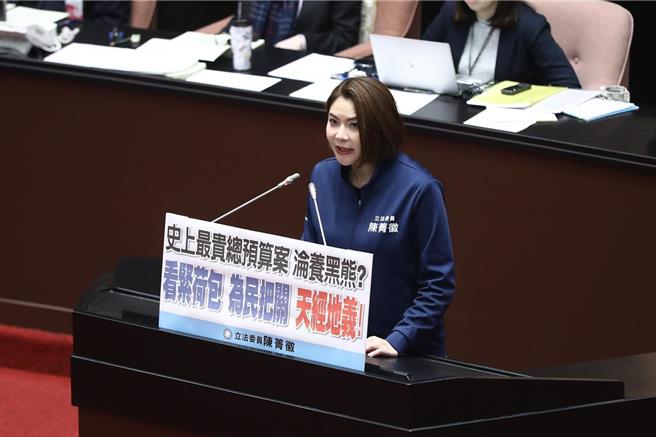 114年度中央政府总预算案，立法院今下午三读，国民党立委陈菁徽三读后发言。（摘自陈菁徽脸书）