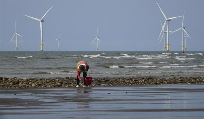 台湾气候行动网路研究中心总监、台大气候变迁与永续发展国际学程兼任助理教授赵家纬表示，虽然美国退出协定的举动会弱化国际气候领导者的姿态，但减碳仍是其他国家推动的方向，台湾不可误判情势。(本报资料照片)