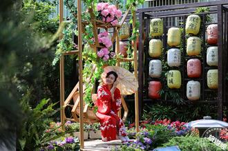 中台湾过年走春 参山游