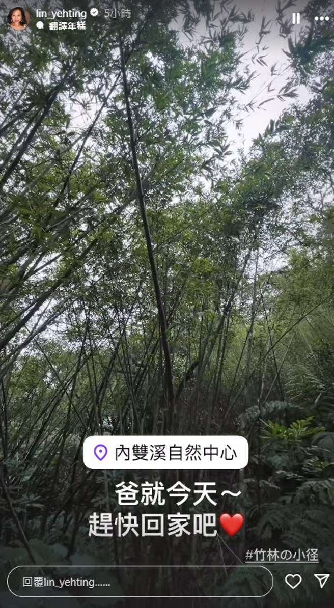 林叶亭再度PO文向父亲喊话。（图／lin_yehting  Instagram）