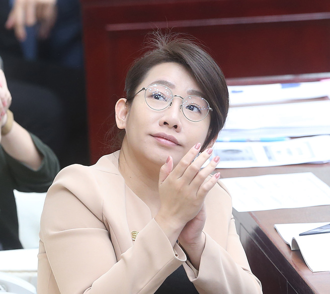 民眾黨台北市議員林珍羽。（中時資料照，陳怡誠攝）