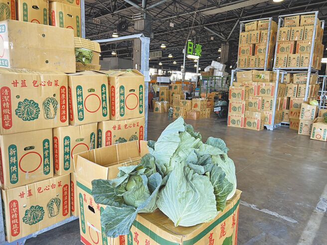 西螺果菜市场高丽菜平均交易价格跌到每公斤14.2元，菜农感嘆「从天花板掉到地板」，很适合消费者过年大量採买。（周丽兰摄）