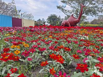 走春首選！「花在彰化」春節免費賞花 還有精彩嘉年華