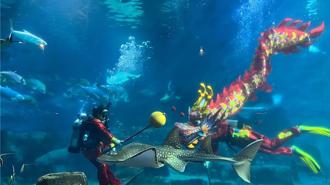 遠雄海洋公園攜手花蓮16家飯店 邀全國12歲以下兒童免費遊園