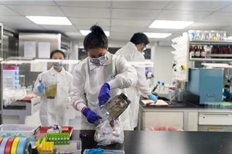 年前加強蔬果農藥檢驗 違者銷毀、停止供貨10天