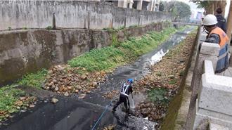 桃園南崁溪驚現死魚群 上游長菌絲 環保局出手稽查
