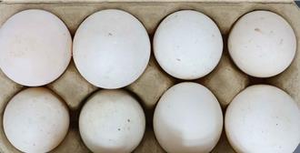 國產鴨蛋檢出2抗菌劑超標 業者找嘸進貨來源遭罰3萬元