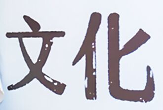 從文丐到文娼的浩劫