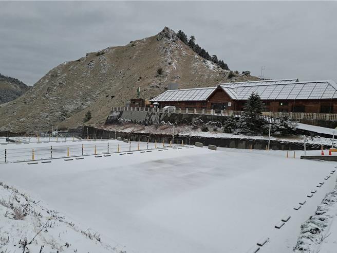合歡山區徹夜飄降陣陣雪夾霰，換上銀白雪裝，彷彿童話世界。（林保署南投分署提供／楊靜茹南投傳真）