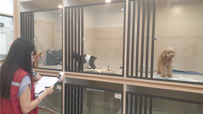 新北市政府动物保护防疫处依据「宠物业查核及评鑑办法」，邀请专家学者、动保团体及业界代表共7人组成评鑑委员会，完成两年一次特定宠物业评鑑。（新北动保处提供）