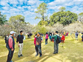 國旅怎救？交通部長曝解方 過年推薦2景點
