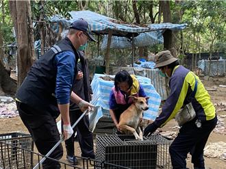 台南哈赫拿尔秘境变「恶犬公园」 移置39只群聚游荡犬