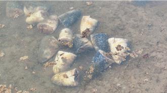 林園濕地公園水母池驚見20顆「生烏魚頭」 恐污染水質生態