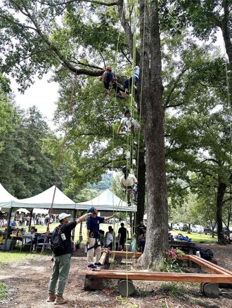 森林度假CP值高 春节三大林场住房率高