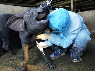 新北動保處嚴查畜禽食品安全 杜絕藥物殘留危害