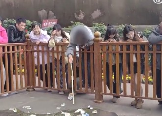 四川大佛腳下公然偷錢 2女只撿百鈔！事後無恥逃離