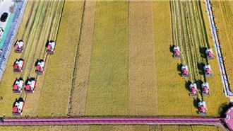 陸連續21年豐收  糧食「藏」在哪？科技「飯勺」不可少