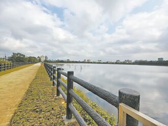 桃園大圳1-4號埤塘 步道啟用