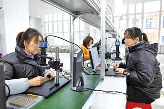 抱團出海 陸助中小企國際化