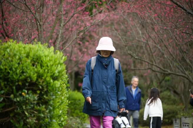 25日东北季风影响，北部及宜花地区天气较凉，其他地区早晚亦凉，迎风面的桃园以北及东半部地区有局部短暂雨。（示意图／罗永铭摄）