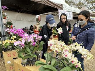 金門春節假日花市熱鬧開張 結合書法與公益迎新春