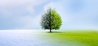 12生肖「立春」運勢曝 鼠、龍走財運 蛇、馬有貴人