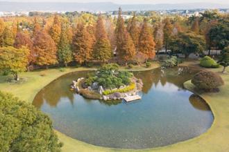 日系落羽松秘境！走春必访「成美文化园」公堂140周年庆典 湖心音乐艺术季登场