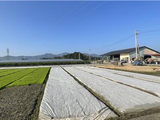 寒流来袭！高雄农民快看 这些防寒措施要知道
