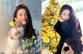 劉亦菲舊照 「香腸配色洋裝」被挖出！全憑仙女顏值成功救場