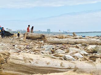 花蓮 走春景點多 海邊撿漂流木夯