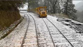 太平山零下7度 积雪3cm 山顶全白头