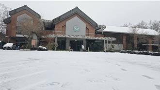 寒流发威！观雾游憩区变银白世界 梦幻美景曝