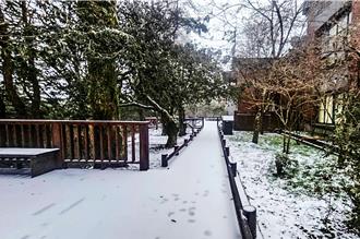 寒流襲台！尖石、五峰出現雪白美景