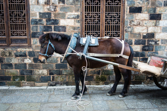 古人過年返鄉不簡單 李白回家一趟 花掉3個月薪水