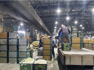 高麗菜崩盤只剩7.8元！菜商心聲「希望沒菜可賣」