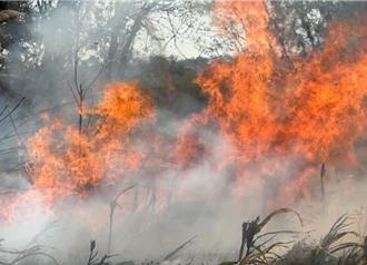 金門接連兩起野火 燒毀1萬5000平方公尺林地幸無人傷
