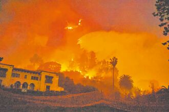 洛杉矶大火 烧出台湾绿色破洞