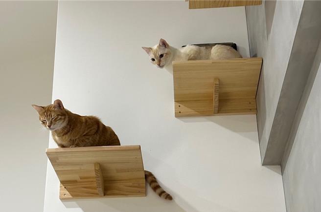 愈来愈多民眾饲养宠物并将牠们视为家人，随农历春节连假到来，花莲县政府汇整县内动物医院（诊所）及宠物犬猫寄养业者的营业日期及时间，守护毛小孩们的健康与安全；图为宠物示意图。（罗亦晽摄）