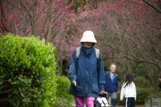 寒流也赶来过年！台北急冻8.3度 专家：打破8年来纪录