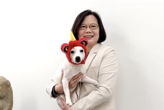 蔡英文卸任後首迎春節錄影片拜年 愛犬樂樂一舉動萌翻天