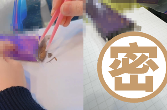 正妹拆新隱眼「打開驚見超巨蟑螂」！曝廠商1要求 她又塞回去