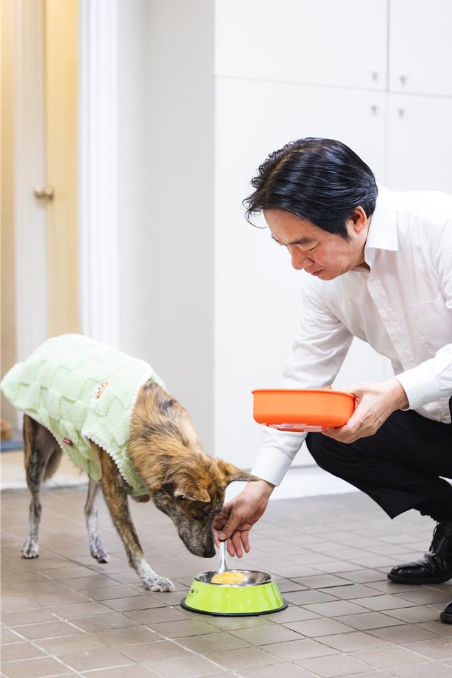 賴清德總統日前與受國際認證導盲犬訓練師，同時也是攜旺cafe創辦人蘇庭鋒（老蘇）、方思懿攜手，一同製作寵物年菜「黃金旺旺金元寶」。（總統府提供／陳薏云台北傳真）