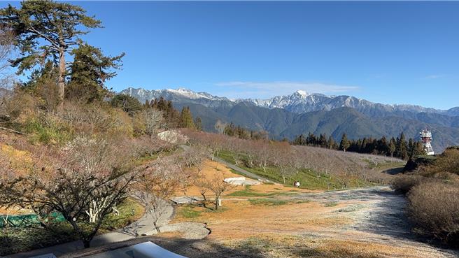 寒流发威，全台多处山区27日降下皑皑白雪，福寿山农场能远眺雪山群峰与南湖大山美景。（福寿山农场提供／潘虹恩台中传真）