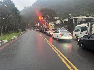 梅花櫻花盛開＋追雪熱潮！南橫大年初一現車潮